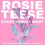 Everything I Want (feat. Will Robinson, Carl Young & Jono Cahill)