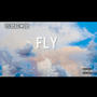 FLY (Explicit)