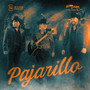 Pajarillo