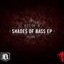 Shades of Bass Vol.2