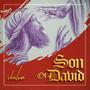 Son of David by Shalom