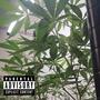 Mule (feat Young Taylor) [Explicit]