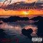 Friends (Explicit)