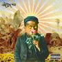 SUN SHYNEZ (feat. TROUBLE T THE FIELD KING & NARDESIGNS) [Explicit]