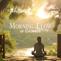 Morning Flow of Calmness: Magical Contemplation