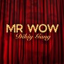 Mr. Wow