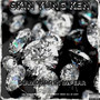 DIAMONDS IN MY EAR (Explicit)