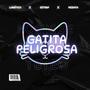 GATITA PELIGROSA (feat. Medaya & EzTrap) [Explicit]