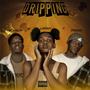 Dripping (feat. Lantanah, Protacee & D.s Boe Beats) [Explicit]