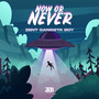 Now Or Never (Explicit)