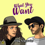 What You Want (Explicit)