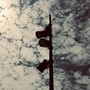 Les Voix Libres