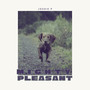 Mighty Pleasant (Explicit)