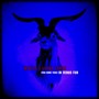 (You Come True) in Venus Fur