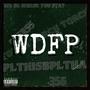 WDFP (feat. BinoFallout, lulsyn & 356 VILL) [Explicit]