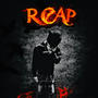 reap (Explicit)