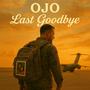 Last Goodbye (feat. Suno)