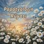 Papatyaların Rüyası