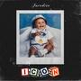 ICON (Explicit)