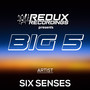 Redux Big 5 of Six Senses