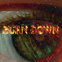 Burn Down (Explicit)