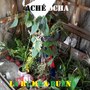 Aché Ocha