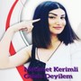 Gelen Deyilem