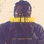 What Is Love (feat. Sonson & Rood)