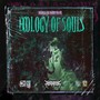 Ecology of Souls