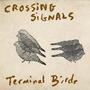 Terminal Birds (feat. Lyv & Cold Focus)