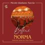 Bellini: Selected Arias from Norma (Solo piano)