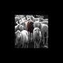 Long Road (Explicit)