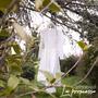 La promessa (Explicit)