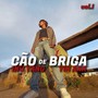 Cão de Briga (Explicit)