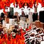 Burn The City (feat. Don Killionaire & Okkcrystals) [Explicit]