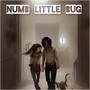 Numb Little Bug