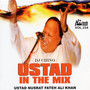 Ustad In The Mix