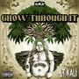 Grow Through It (Explicit)