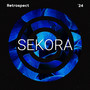 Sekora in Retrospect 2024