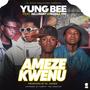 Ameze Kwenu (feat. Sellvanny & Panza) (Studio)