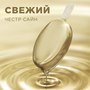 Свежий