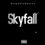 Skyfall (feat. Maharaj_Right & Don)