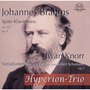 Johannes Brahms: Späte Klaviertrios, op. 101, op. 8 - Iwan Knorr: Variationen über ein Thema von Schubert, op.1