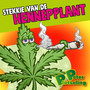 Stekkie van de Hennepplant