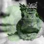 bidin'Time (GreenRose Archives) [Explicit]