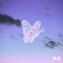 Flying Away