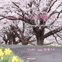 ひとつだけの願い-Spring Gate Mix- Yuki feat. 初音ミク