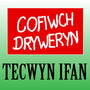 Cofiwch Dryweryn (Yn Fyw)