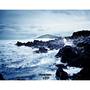 Ocean Voice