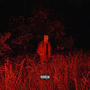 REPETITION (Explicit)